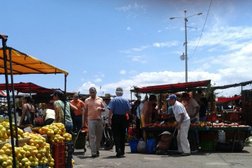 Feria del Agricultor Zapote